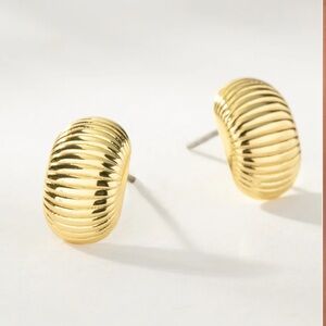 ⚜️UJ Status symbol ribbed Earrings